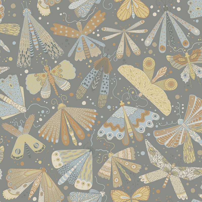 Sample 4111-63026 Briony, Flyga Apricot Butterfly Bonanza Wallpaper by A-Street Prints Wallpaper