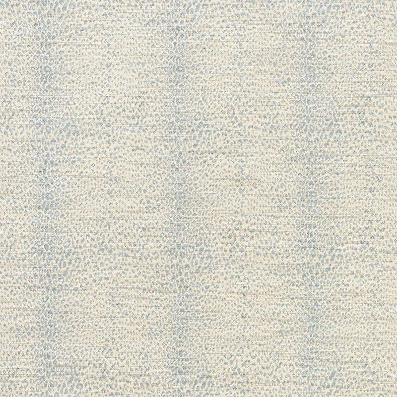 Purchase sample of 70831 Mini Leopard, Cloud by Schumacher Fabric