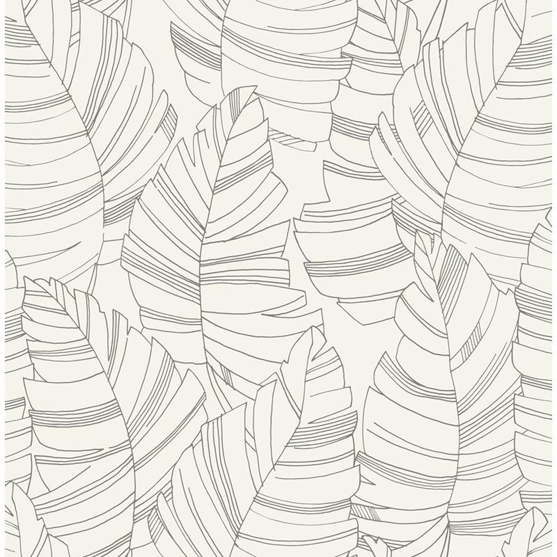 Sample DA61400 Day Dreamers, Jungle Leaves Charcoal Seabrook Wallpaper