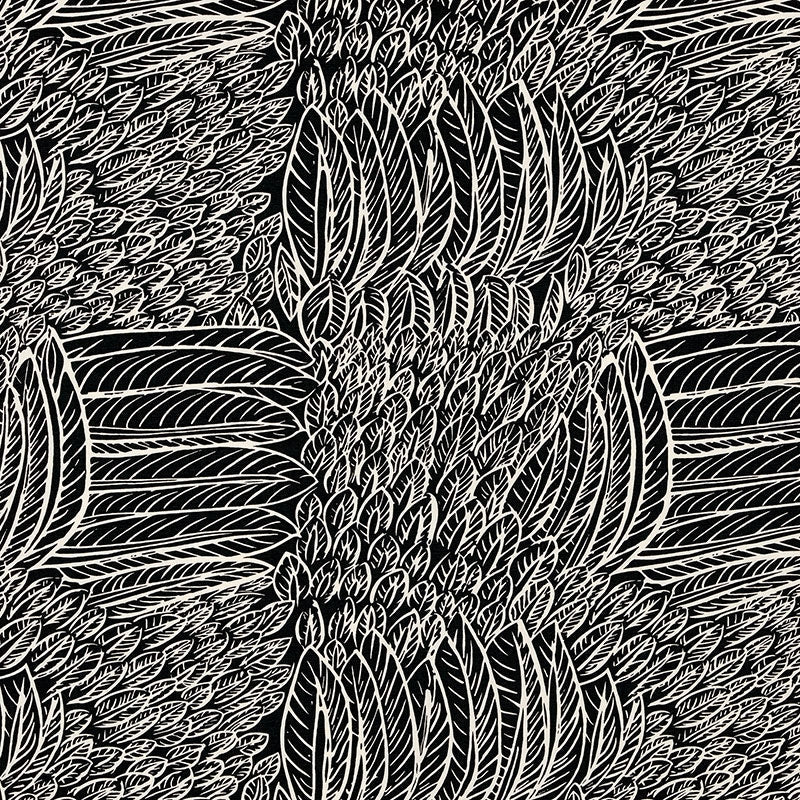 Purchase sample of 176234 Featherfest, Black by Schumacher Fabric