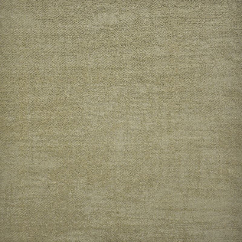 Sample CFO713 Carlotta Branch by Maxwell