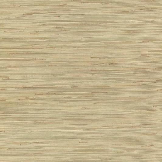 Find NZ0780 Grasscloth Resource Library River Grass Green York Wallpaper