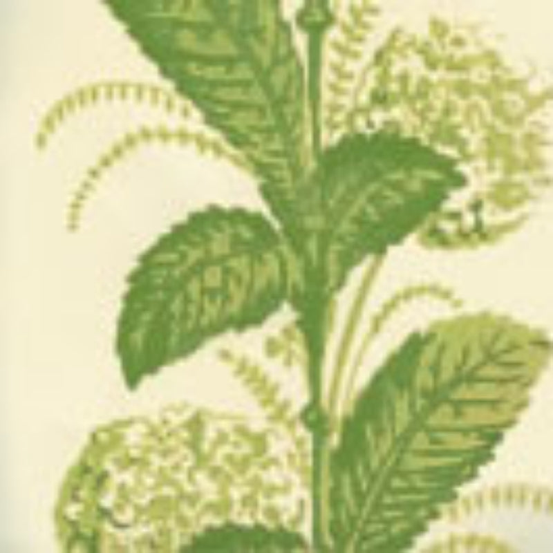 Sample 303305WP Climbing Hydrangea, Lime On Almost White by Quadrille Wallpaper