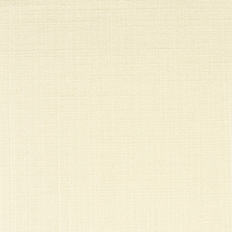 Save F2519 White  Upholstery Greenhouse Fabric