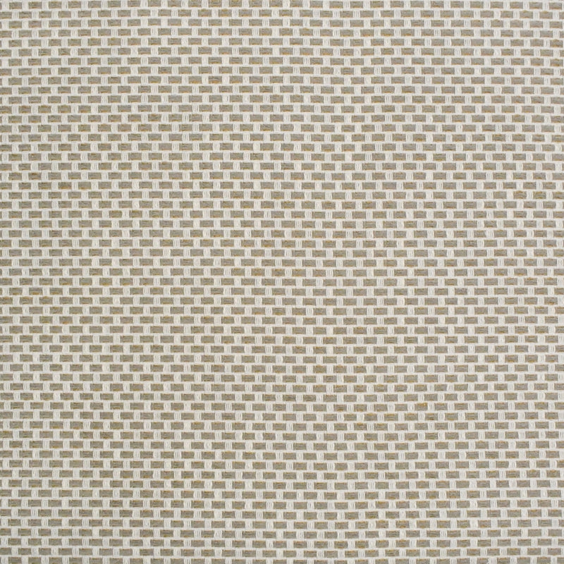 Save S4439 Birch Contemporary Neutral Greenhouse Fabric