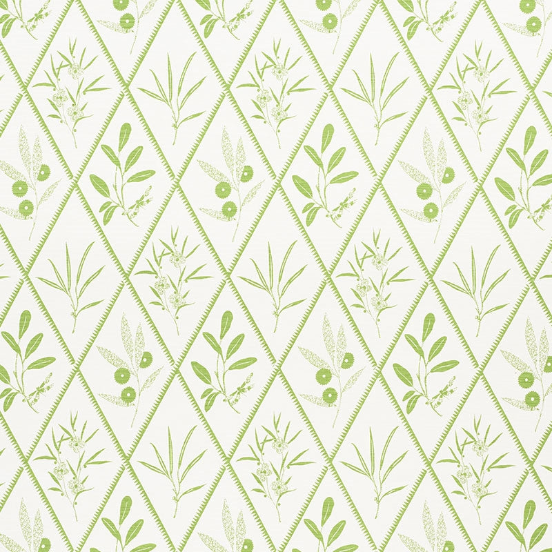 Acquire 177641 Endimione Leaf by Schumacher Fabric