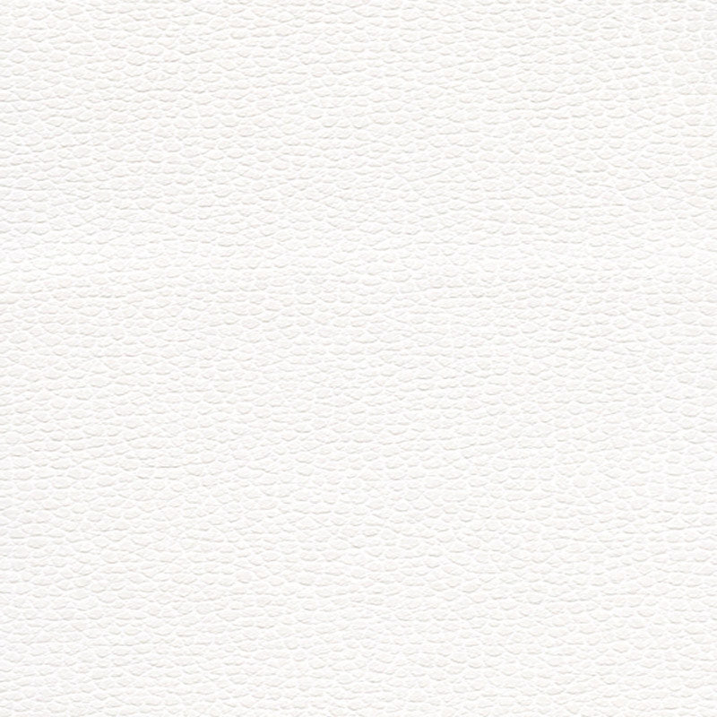 Purchase sample of 363-5715 Promessa, Snow by Schumacher Fabric