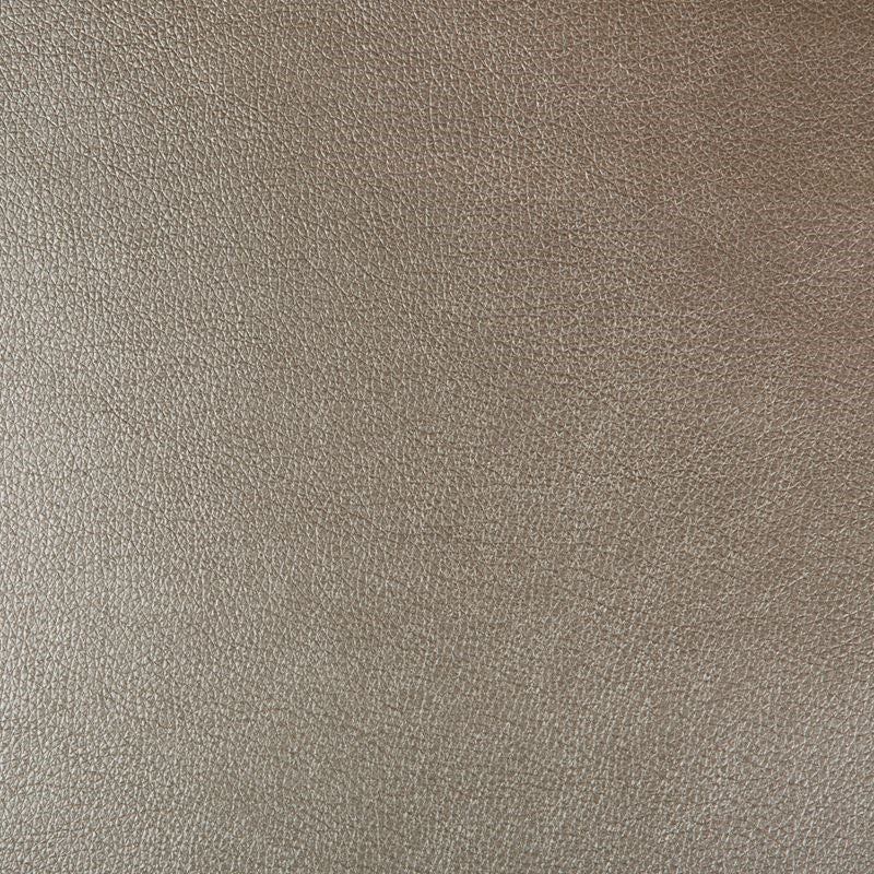 Find AZERI.106.0  Skins Taupe by Kravet Design Fabric