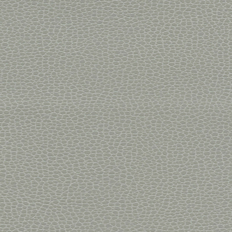 Purchase sample of 363-5818 Promessa, Ash by Schumacher Fabric