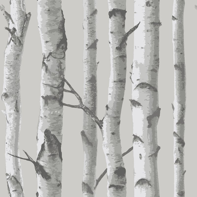 Order NU1694 Mountain Birch Grey  Nature Peel and Stick by Wallpaper