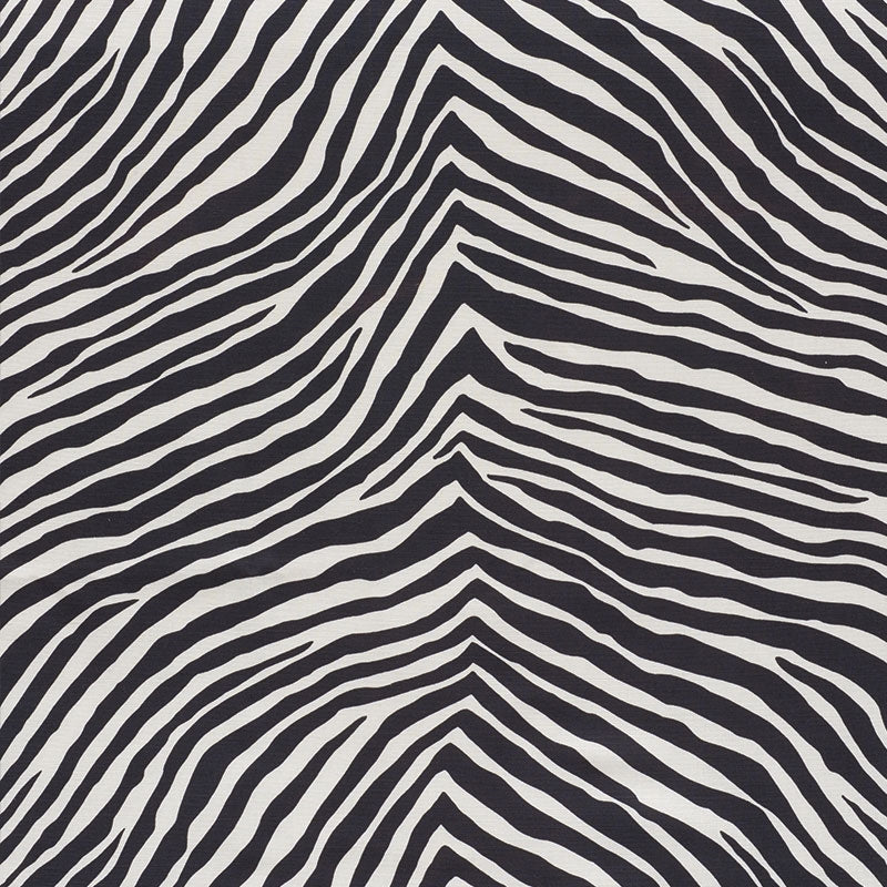 Purchase sample of 177443 Iconic Zebra, Black by Schumacher Fabric