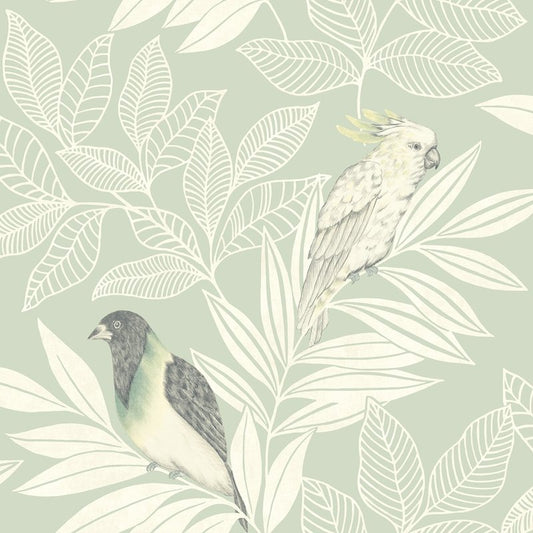 Acquire RY30104 Boho Rhapsody Paradise Island Birds Green by Seabrook Wallpaper