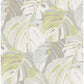 Sample 2969-26009 Pacifica, Samara Lime Monstera Leaf by A-Street Prints Wallpaper