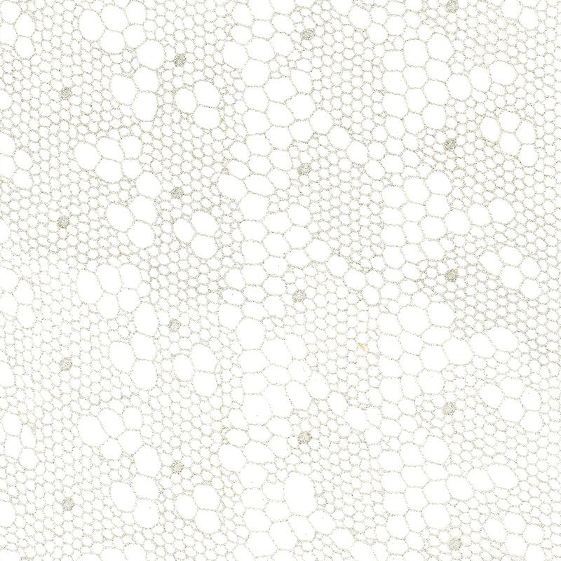 Purchase sample of 55490 Tracery Lace, Silver by Schumacher Fabric