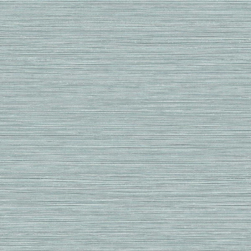 Search BV30124 Texture Gallery Grasslands Serenity Blue  by Seabrook Wallpaper