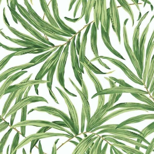 Select AT7050 Ashford Tropics Bali Leaves  color white leaf Ashford House Wallpaper