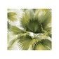 Sample 2927-40114 Newport Summer Palm Green Tropical by A-Street Prints Wallpaper