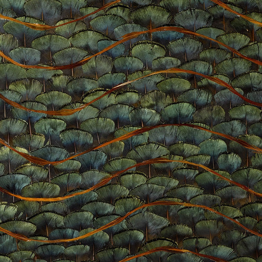 Acquire 5003940 Emerald Bay Peacock Schumacher Wallcovering Wallpaper