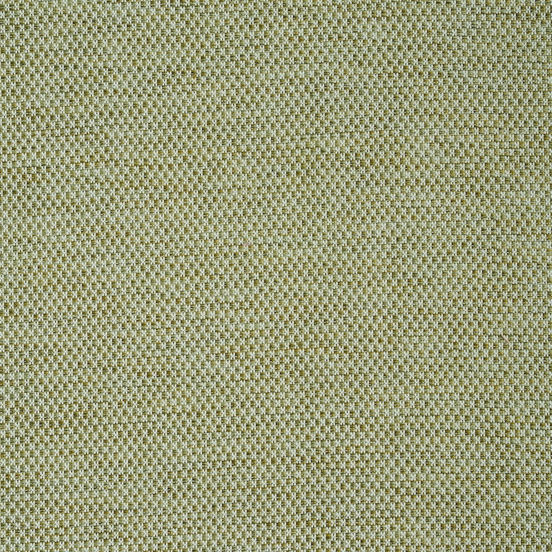 Acquire 78933 Momo Hand Woven Texture Fern by Schumacher Fabric