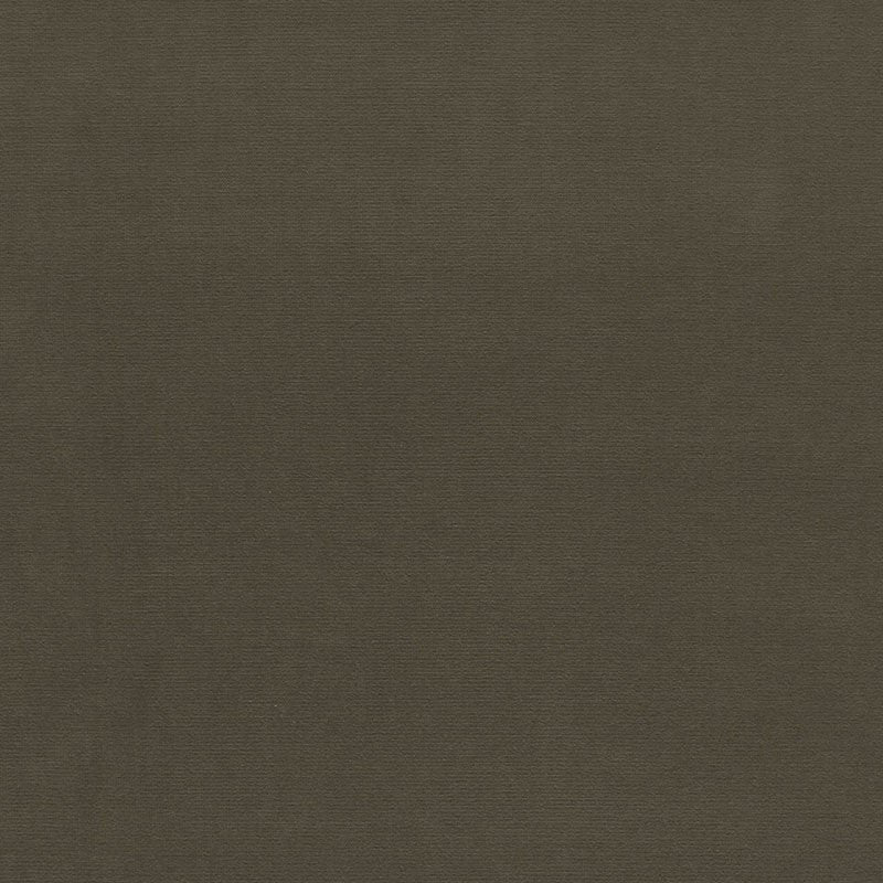 Purchase sample of 42861 Gainsborough Velvet, Eucalyptus by Schumacher Fabric