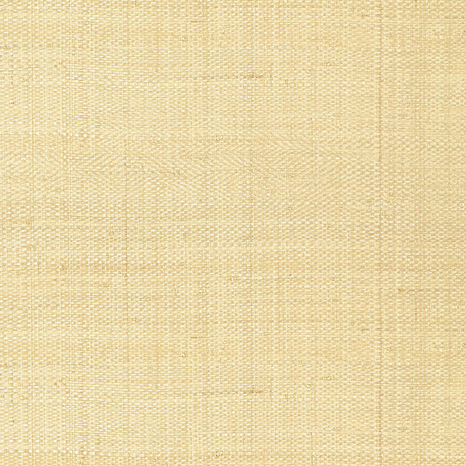 Purchase a sample of T41106 Pearl Bay, Grasscloth Resource 3 Thibaut Wallpaper