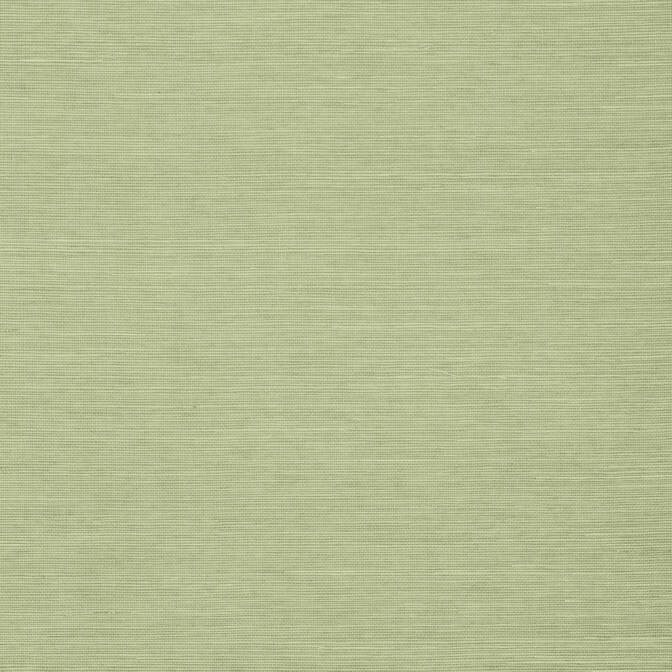 Purchase a sample of T5016 Shang Extra Fine Sisal, Grasscloth Resource Thibaut Wallpaper