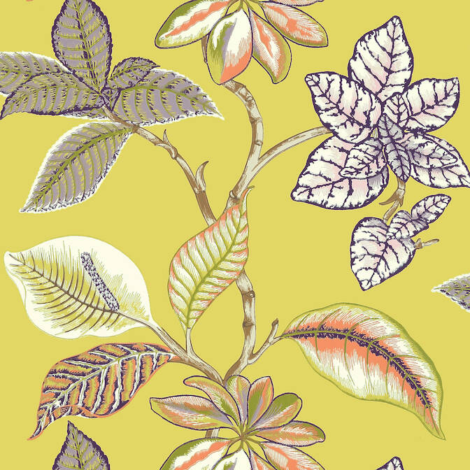 Purchase a sample of T5752 Lucala, Biscayne Thibaut Wallpaper