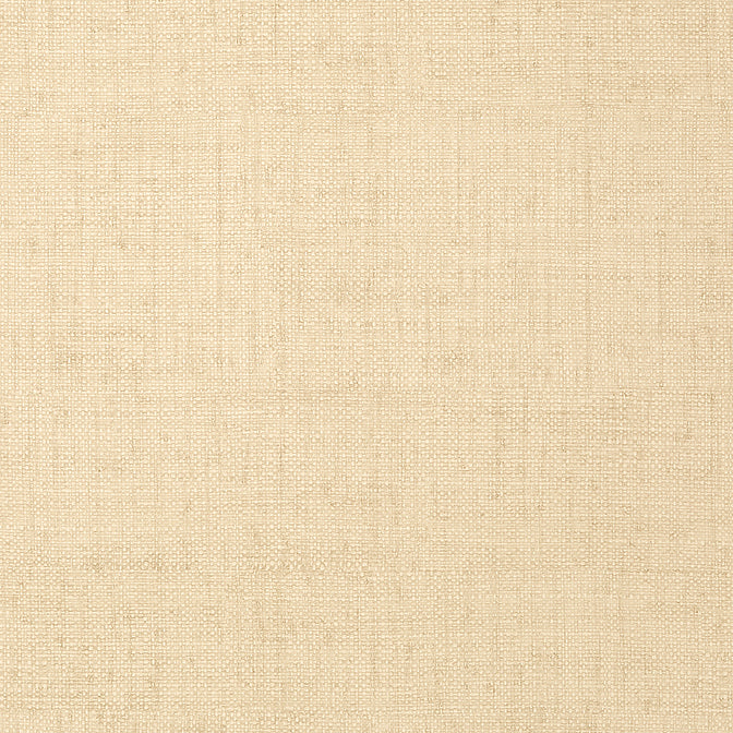 Purchase a sample of T6814 Bankun Raffia, Texture Resource 3 Thibaut Wallpaper