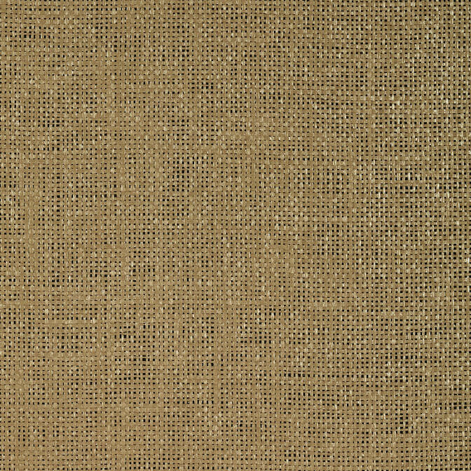 Purchase a sample of T72796 Calabasas, Grasscloth Resource 4 Thibaut Wallpaper