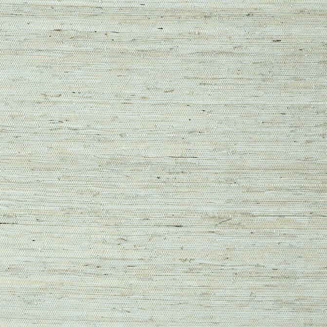 Purchase a sample of T85003 Maranta Arrowroot, Greenwood Thibaut Wallpaper
