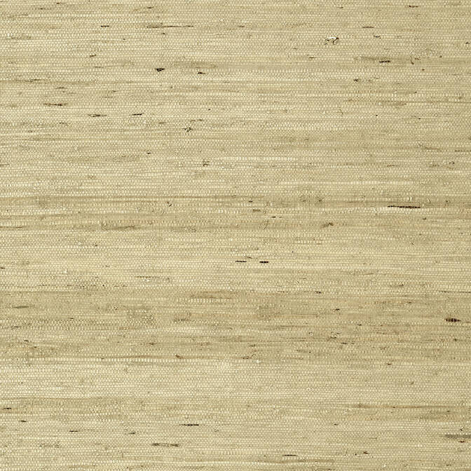 Purchase a sample of T85006 Maranta Arrowroot, Greenwood Thibaut Wallpaper