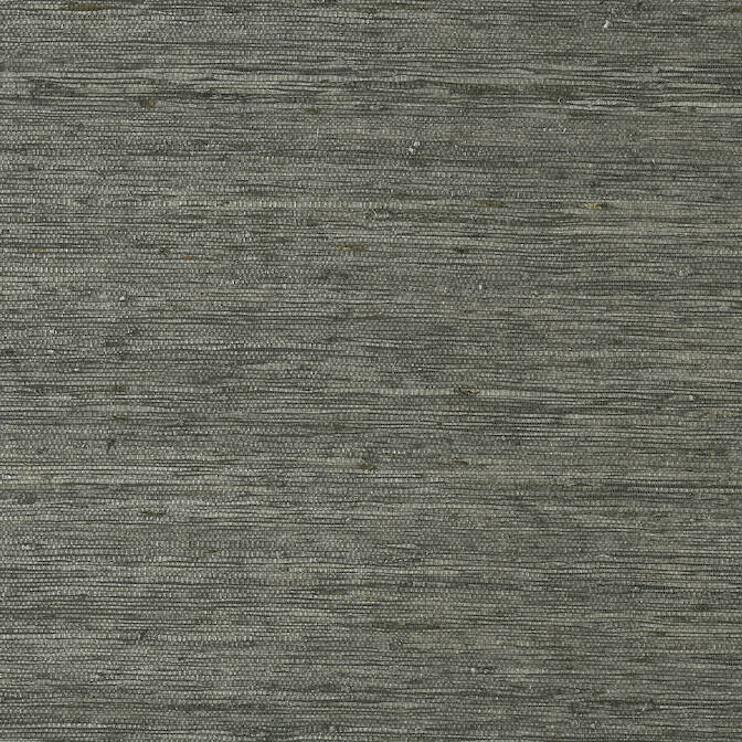 Purchase a sample of T85009 Maranta Arrowroot, Greenwood Thibaut Wallpaper