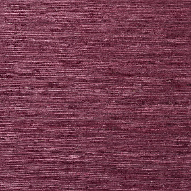Purchase a sample of T85011 Maranta Arrowroot, Greenwood Thibaut Wallpaper
