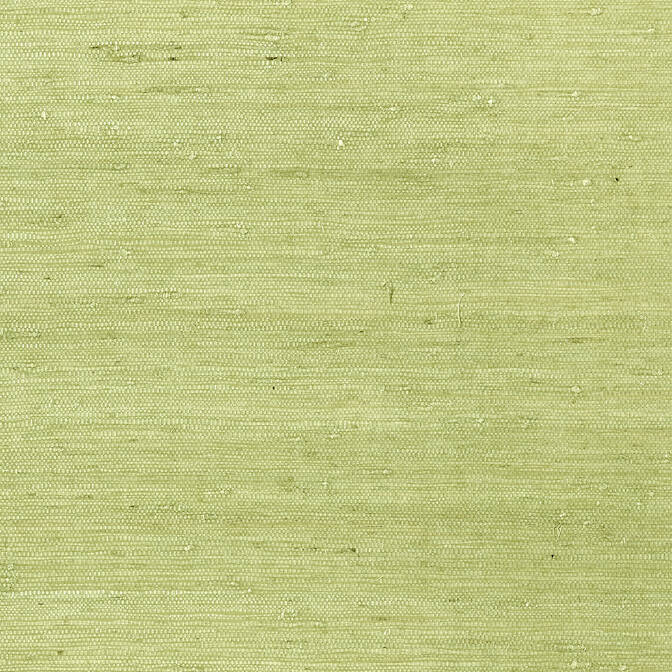 Purchase a sample of T85012 Maranta Arrowroot, Greenwood Thibaut Wallpaper