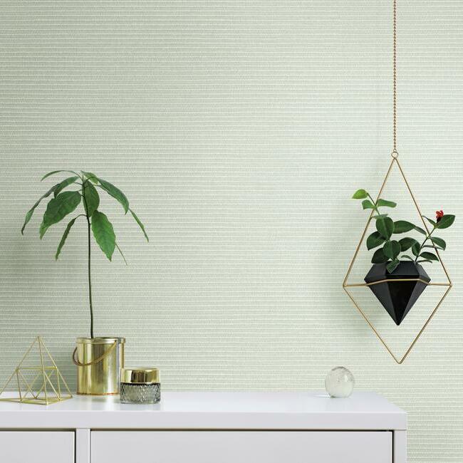 Find Tc2661 Tropics Resource Library Boucle York Wallpaper