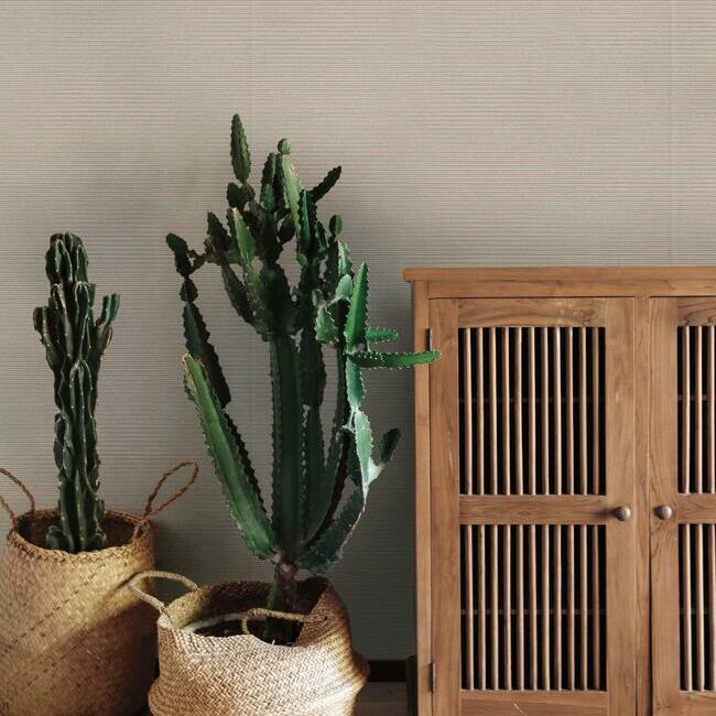 Order Tc2665 Tropics Resource Library Boucle York Wallpaper