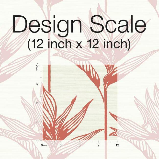 Purchase Tc2676 Tropics Resource Library Bird Of Paradise York Wallpaper