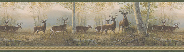 Purchase TLL44341 Echo Lake Lodge Green Storrie Green Deer Border Wallpaper by Chesapeake Wallpaper