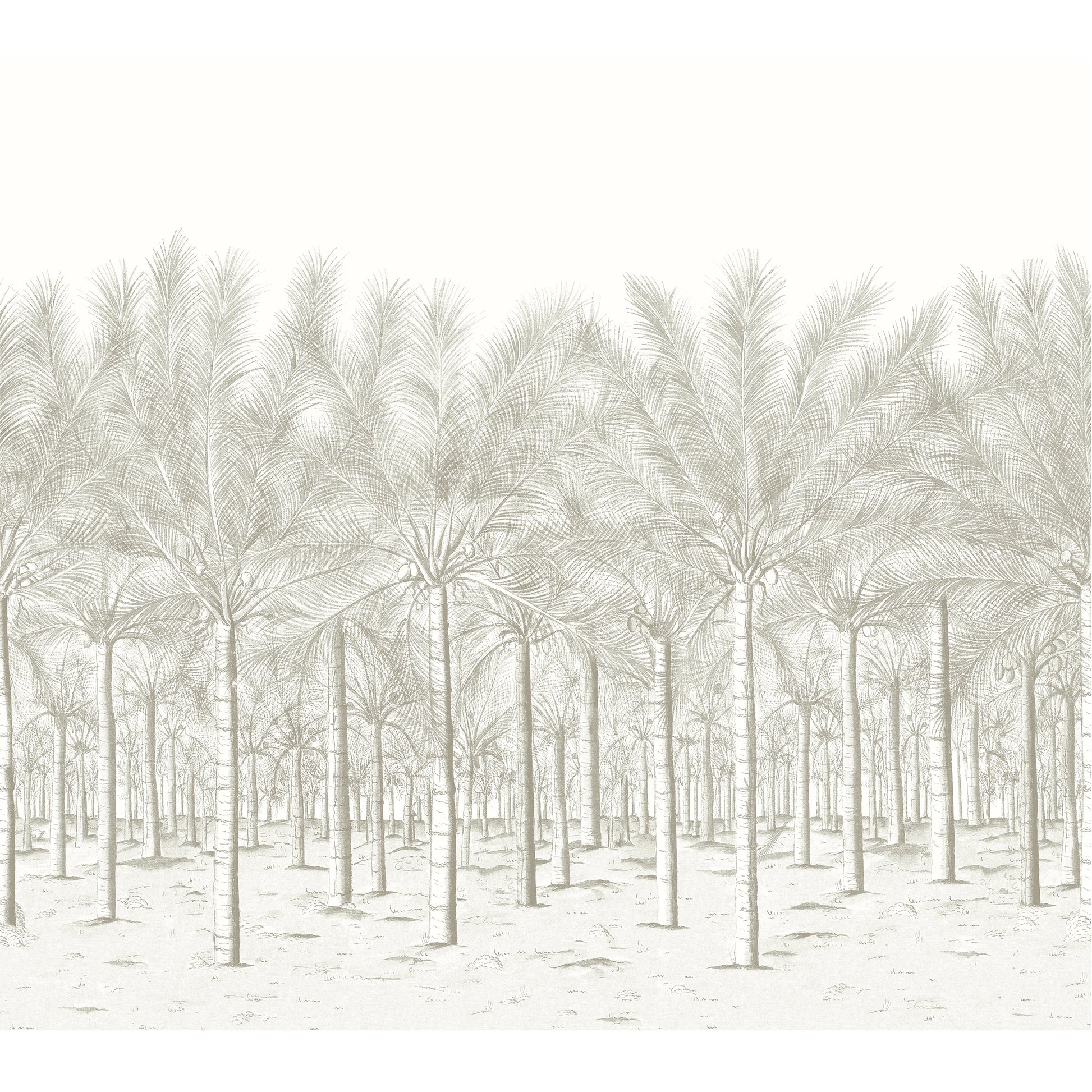 Purchase a sample of Tm13948 Palm Grove Mural, Palm Grove by Thibaut Wallpaper