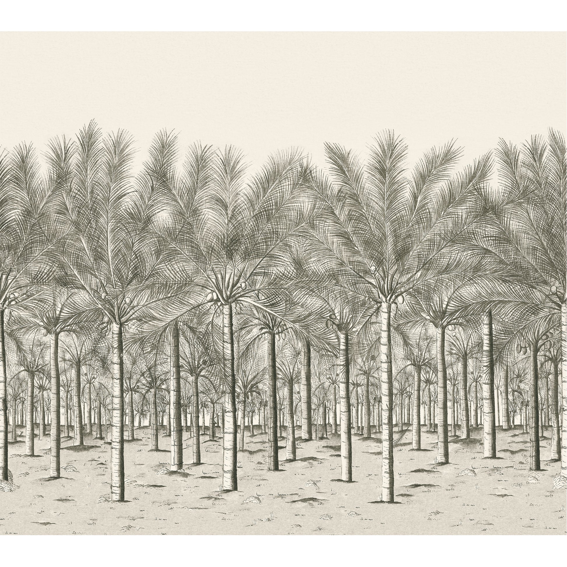 Purchase a sample of Tm13950 Palm Grove Mural, Palm Grove by Thibaut Wallpaper