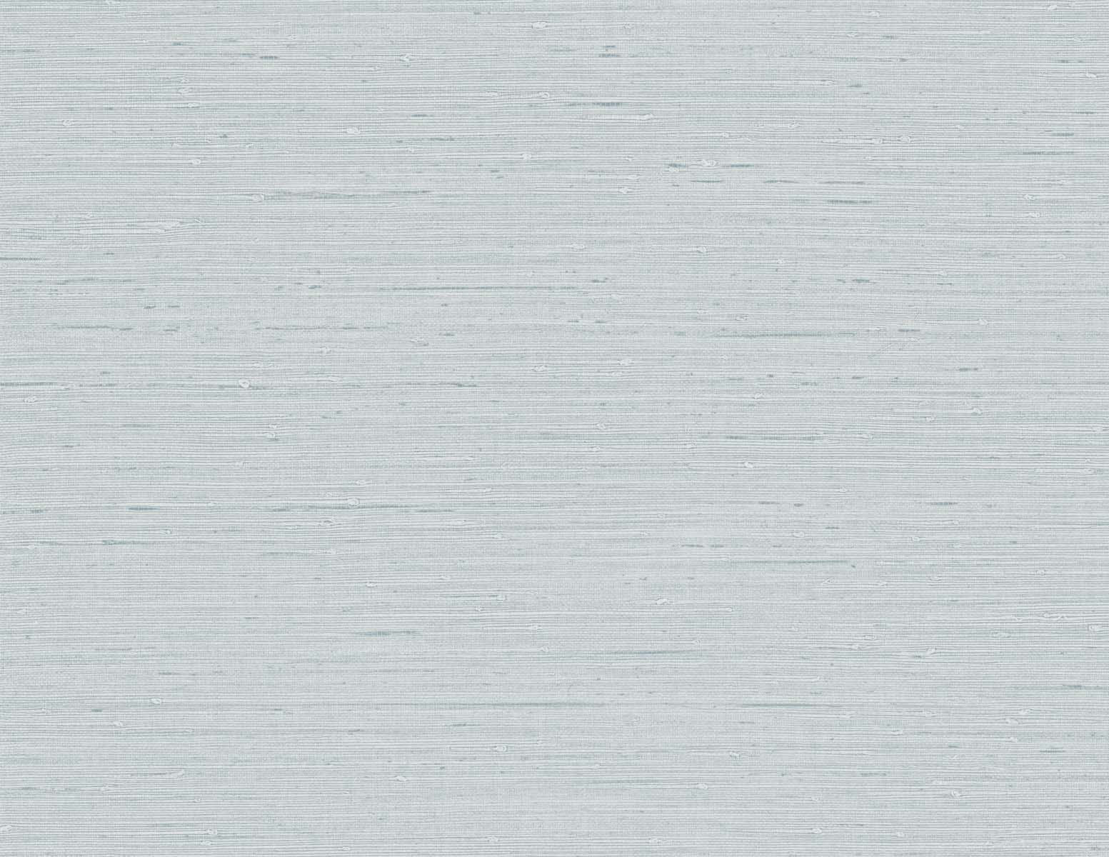 TS80732 | Seahaven Rushcloth, Blue - Seabrook Designs Wallpaper