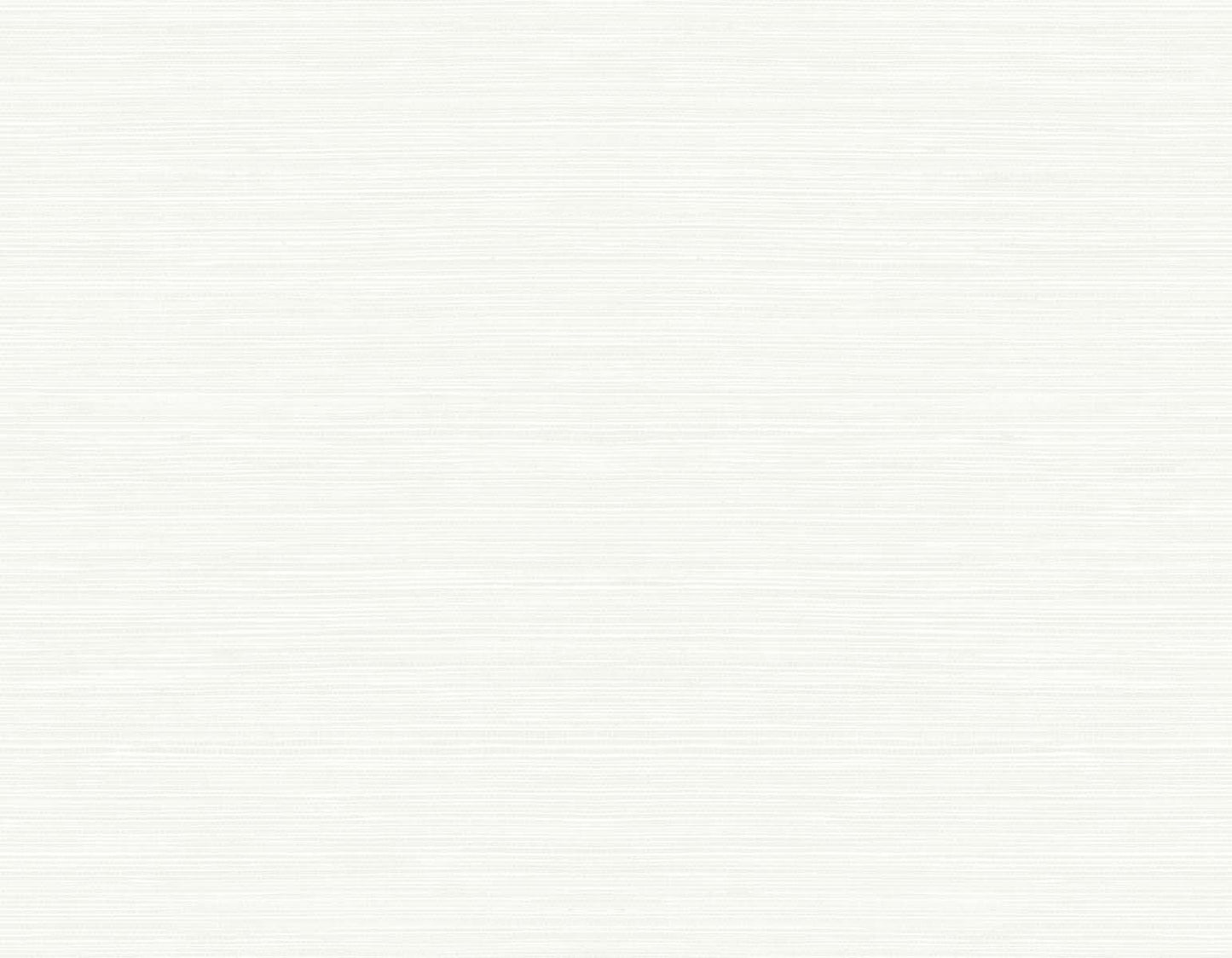 TS82000 | Seawave Sisal, Off-White - Seabrook Designs Wallpaper