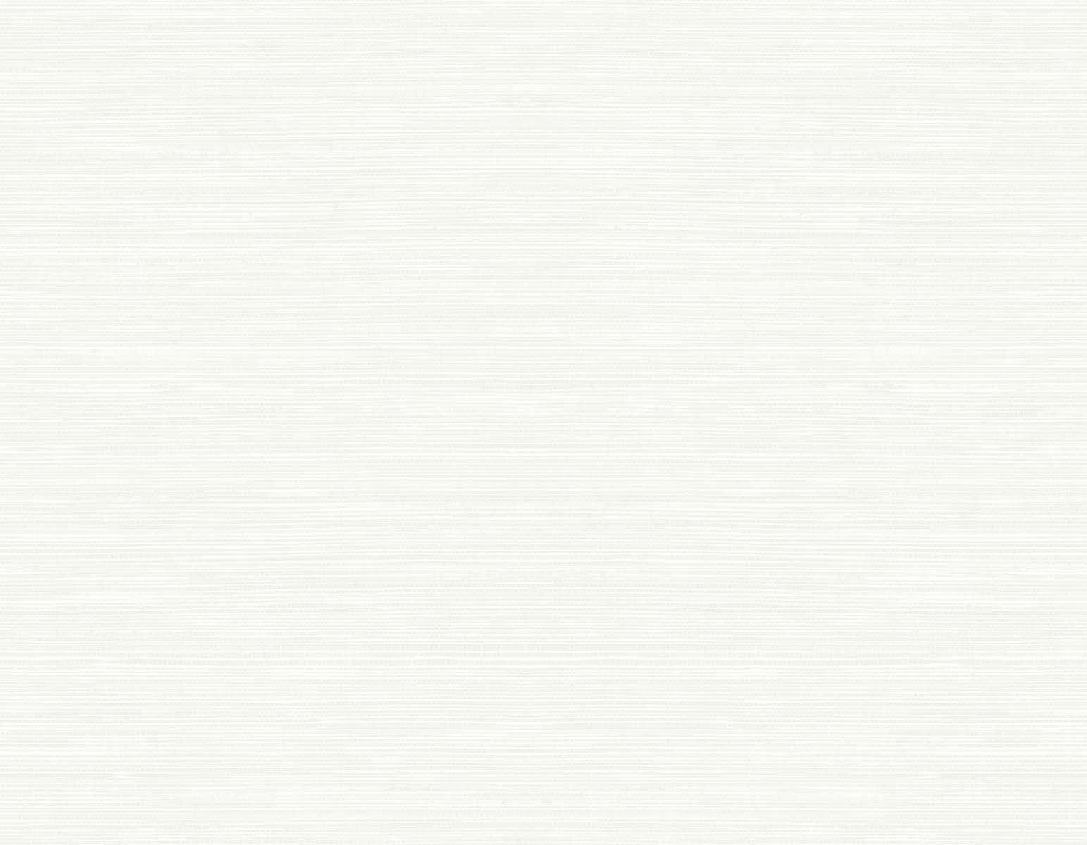 TS82000 | Seawave Sisal, Off-White - Seabrook Designs Wallpaper