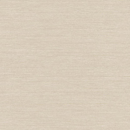 TS82003 | Seawave Sisal, Beige - Seabrook Designs Wallpaper