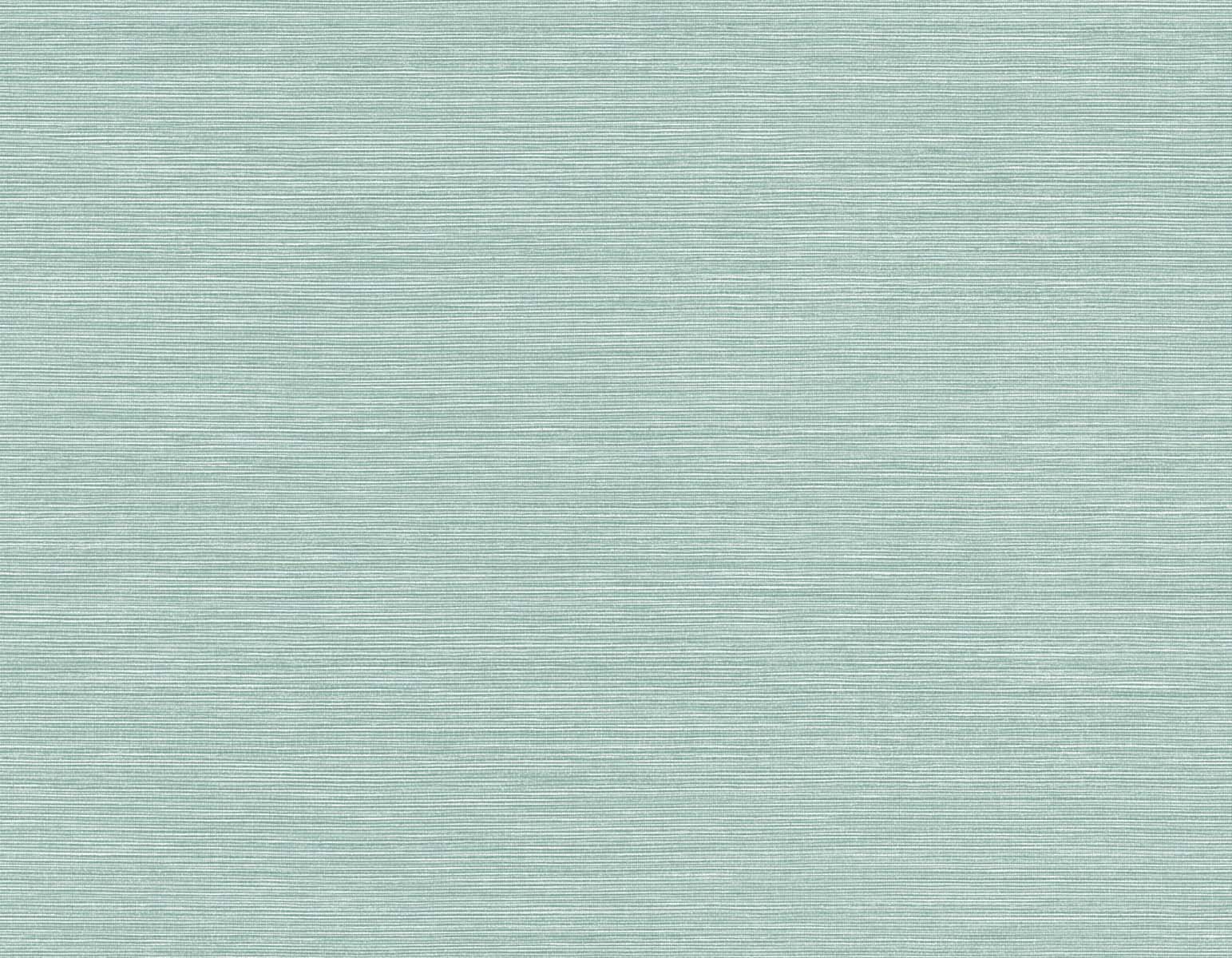 TS82006 | Seawave Sisal, Blue - Seabrook Designs Wallpaper
