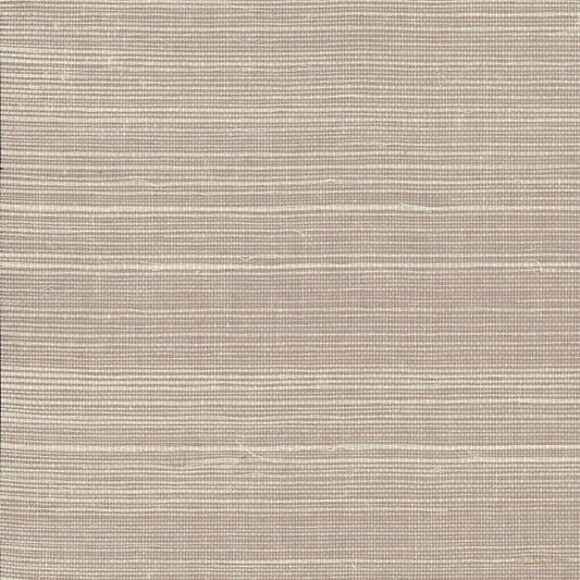 Buy VG4406 Tropics Resource Library Sisal Grey York Wallpaper