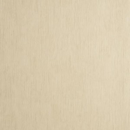 W0060/11 Rafi Neutral Distressed Texture Clarke And Clarke Wallpaper