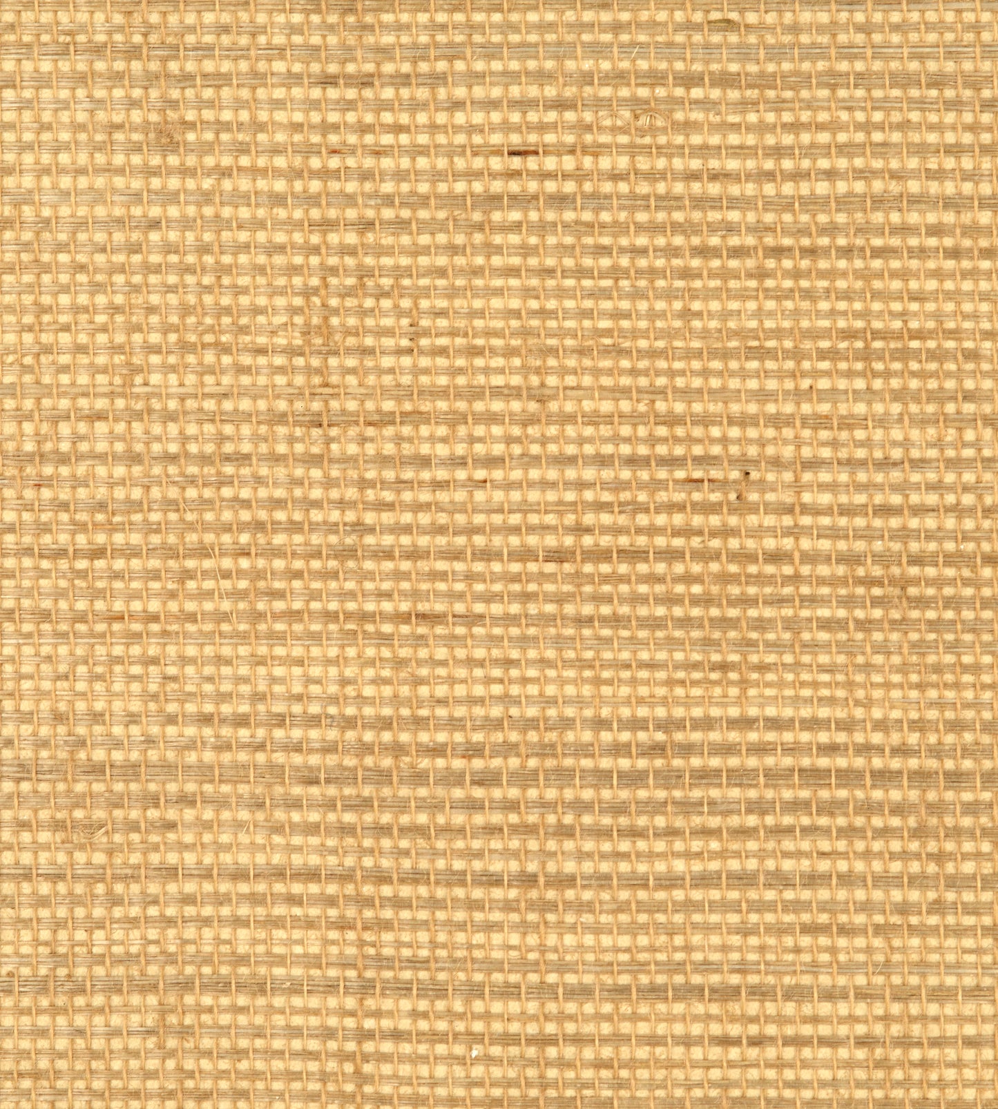 Select Scalamandre Wallpaper Pattern Wtw0435Simp Name Simply Sisal Custard Texture Wallpaper