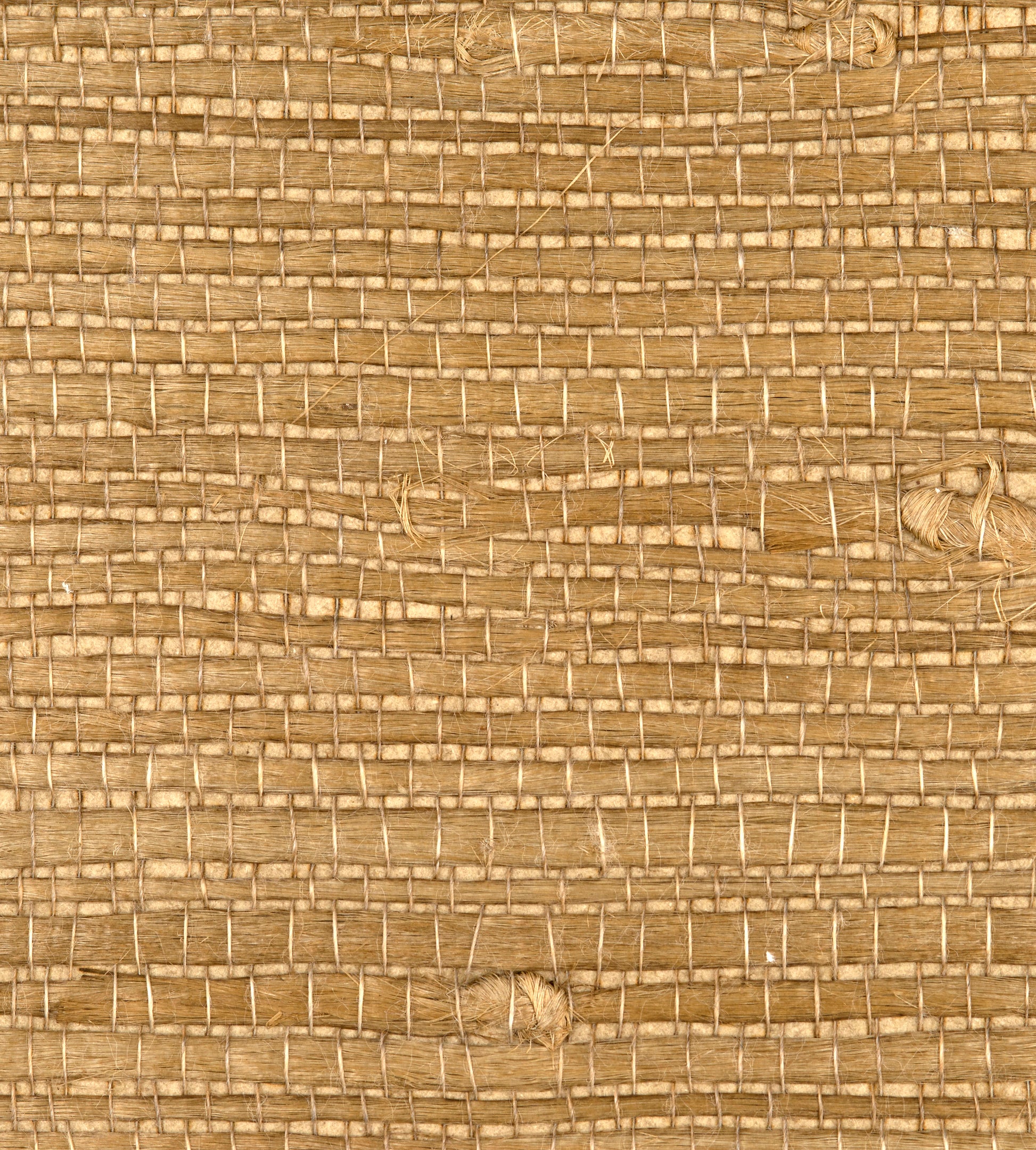 Buy Scalamandre Wallpaper Pattern Wtw0436Just Name Justin Jute Tan Texture Wallpaper