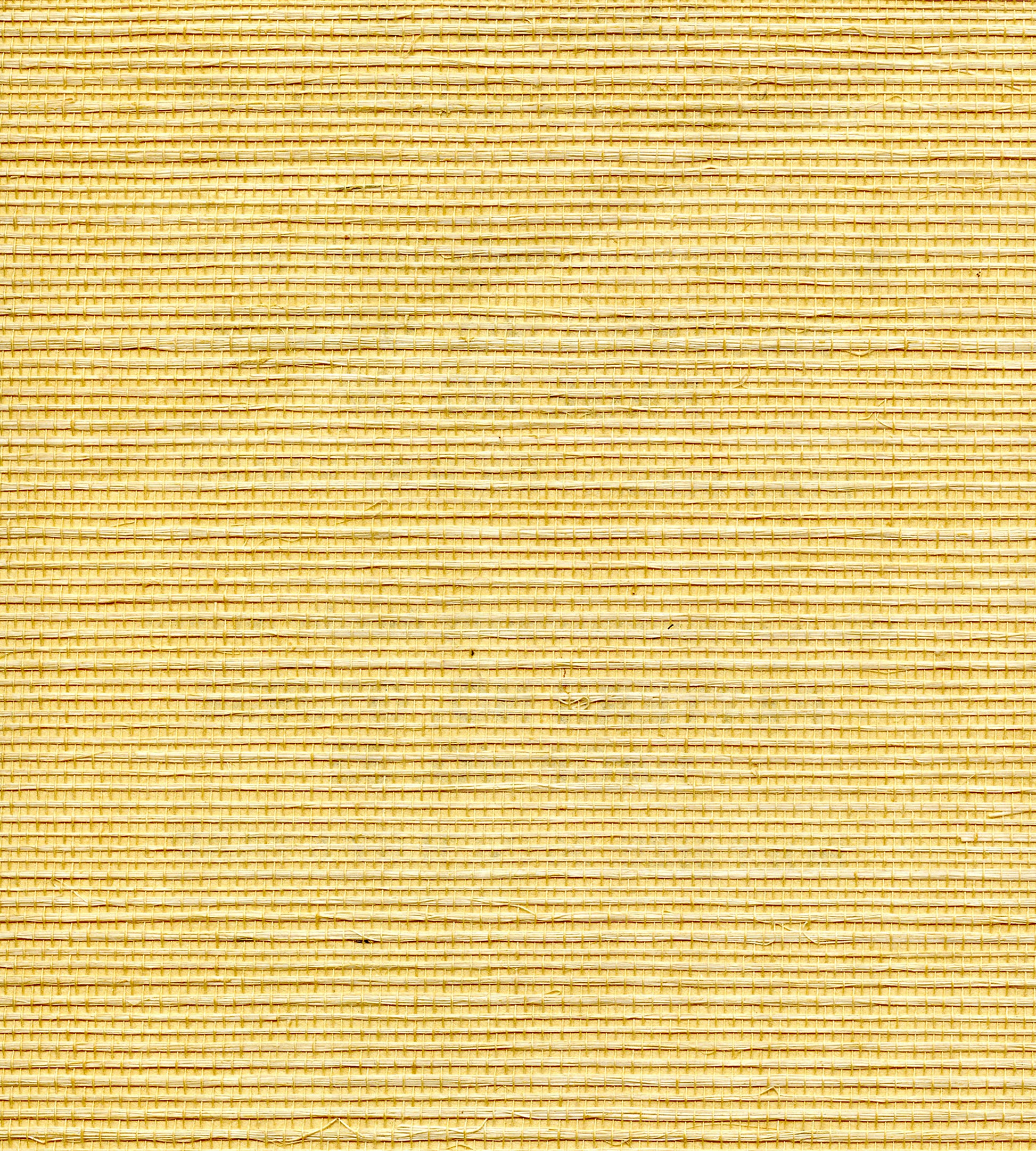 Acquire Scalamandre Wallpaper Pattern Wtwgt3932 Name Organic Sisal Cornsilk Texture Wallpaper